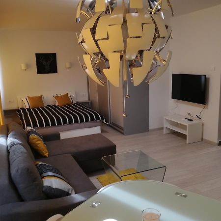 Apartment Oasis Banovo Brdo-Ada Ciganlija Beograd Eksteriør bilde